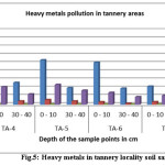 Fig.5: Heavy metals in tannery locality soil samples