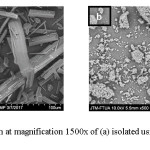 Fig. 5: Photomicrograph at magnification 1500x of (a) isolated usic acid, and (b) usnic acid after milling
