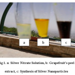 Fig 1. a: Silver Nitrate Solution, b: Grapefruit's peel extract, c: Synthesis of Silver Nanoparticles