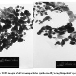 Fig 6. TEM images of silver nanoparticles synthesized by using Grapefruit’s peel extract