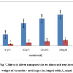 Fig 7. Effect of silver nanoparticles on shoot and root fresh weight of cucumber seedlings challenged with R. solani
