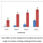 Fig. 8. Effect of silver nanoparticles on shoots and root dry weight of cucumber seedlings challenged with R. solani