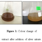 Figure 1: Colour change of  extract after addition of silver nitrate.