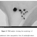 Figure 3: TEM analysis showing the morphology of synthesized silver nanoparticles from H. sabdariffa extract