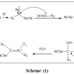 Scheme (1) The mechanism of synthesis nitrone compounds