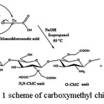 Figure 1	scheme of carboxymethyl chitosan synthesis