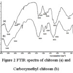 Figure 2 FTIR spectra of chitosan (a) and  Carboxymethyl chitosan (b)