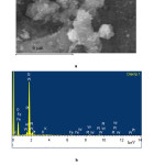 Fig.3: Electron microscopic image(a)  and elemental composition (b) of the scanned section of the catalyst PW12-HPA/H-NZ-1, obtained by SEM