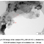 Fig.4: EM-image of the catalyst PW12-HPA/H-NZ-1, obtained by the TEM-BP method. Degree of resolution 1cm = 200 nm