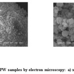 Fig.2: Analysis of FPW samples by electron microscopy: a) x 3,000, b) x 30,000