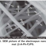 Figure 6: SEM picture of the electrospun nanofiber mat (2-A-Ph-F)/PS.