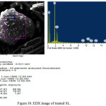 Figure 3b: EDX image of treated SL.