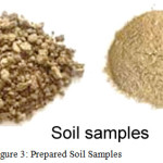 Figure 3: Prepared Soil Samples