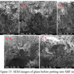 Figure 15: SEM images of glass before putting into SBF solution