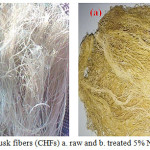 Figure 1: Corn husk fibers (CHFs) a. raw and b. treated 5% NaOH for 2 hours.