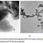 Figure 2: Transmission electron photomicrograph of the two nano-sized synthesized materials: (a) monocalcium aluminate and (b) hydroxyapatite.