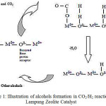 Scheme 1: Illustration of alcohols formation in CO2/H2 reaction on Lampung Zeolite Catalyst