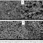 Figure 2: (a,b) The SEM images for sample(Z1) and .(2c,d) The SEM images for sample(Z2)