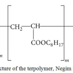 Scheme 1: Structure of the terpolymer, Negim et al. 14.