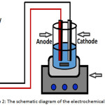 Figure 2: The schematic diagram of the electrochemical system