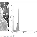 Figure 6: Scanning electron microscopy with EDX