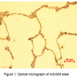 Figure 1: Optical micrograph of AISI309 steel