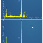 Figure 12: Steel EDS spectra after 72h immersion in 0.5M H2SO4: (a) without inhibitor; (b) with 10-4M 2,2'-Bipyridyl