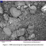 Figure 1: OBR mineralogical composition and microstructure