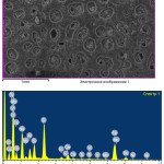 Figure 7: Mineralogical composition and microstructure of Imankara field OBR suspension sample dissolved in the white spirit and kerosene after the ultrasonic treatment in the presence of “Uniflok” flocculent