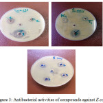 Figure 3: Antibacterial activities of compounds against E.coli