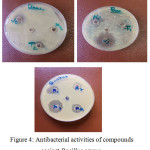 Figure 4: Antibacterial activities of compounds against Bacillus cereus.