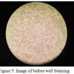 Figure 5: Image of before well Staining