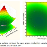 Figure 5: Response surface contours for mass scales production showing effects of interactive concentrations of Cu2+and  Zn2+.
