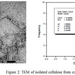 Figure 2: TEM of isolated cellulose from corn cobs