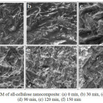 Figure 6: SEM of all-cellulose nanocomposite: (a) 0 min, (b) 30 min, (c) 60 min,  (d) 90 min, (e) 120 min, (f) 150 min