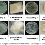 Figure 7: The total plate count test result of all-cellulose nanocomposite as bread wrapping