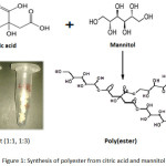 Figure 1: Synthesis of polyester from citric acid and mannitol