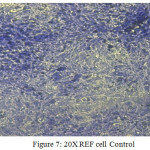 Figure 7: 20X REF cell Control