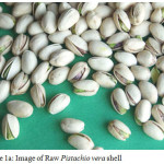 Figure 1a: Image of Raw Pistachio vera shell