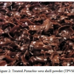 Figure 2: Treated Pistachio vera shell powder (TPVSP)
