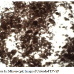 Figure 3a: Microscopic Image of Unloaded TPVSP