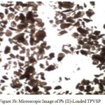 Figure 3b: Microscopic Image of Pb (II)-Loaded TPVSP