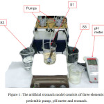 Figure 1: The artificial stomach model consists of three elements: peristaltic pump, pH meter and stomach.