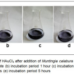 Figure 1: Change of color of HAuCl4 after addition of Muntingia calabura L. leaf extracts (a) incubation period 1 minute (b) incubation period 1 hour (c) incubation period 3 hours (d) incubation period 4 hours (e) incubation period 5 hours