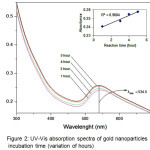 Figure 2: UV-Vis absorption spectra of gold nanoparticles at incubation time (variation of hours)