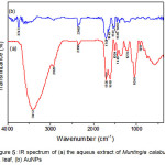 Figure 5: IR spectrum of (a) the aqueus extract of Muntingia calabura L. leaf, (b) AuNPs