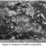 Figure 8: Analysis of AuNPs using SEM