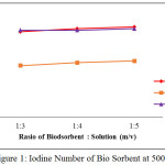 Figure 1: Iodine Number of Bio Sorbent at 500oC