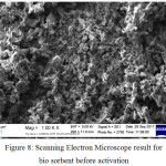 Figure 8: Scanning Electron Microscope result for bio sorbent before activation
