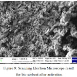 Figure 9: Scanning Electron Microscope result for bio sorbent after activation